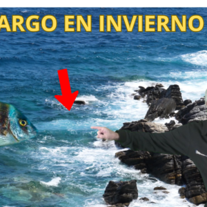 Pack de Equipos por Técnicas – Sargo en Invierno